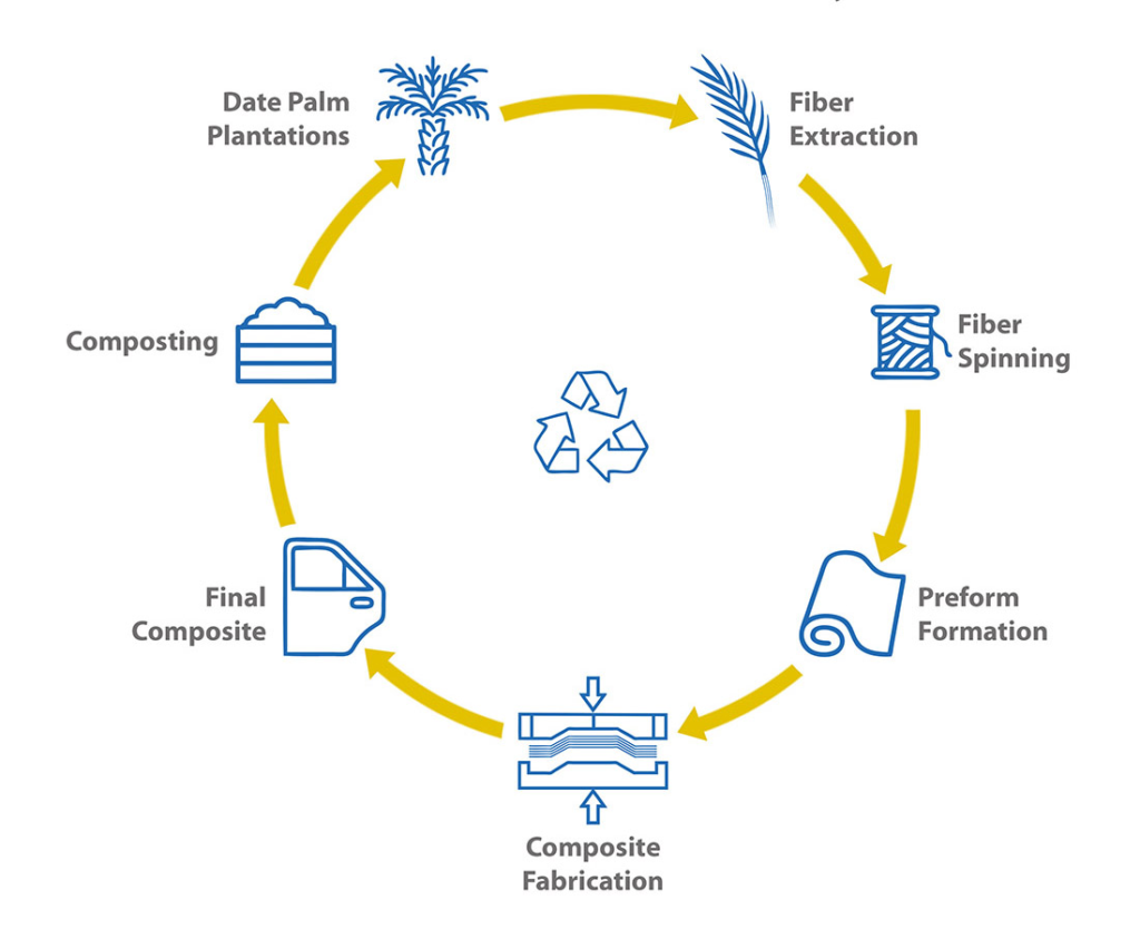 PalmFil circular economy